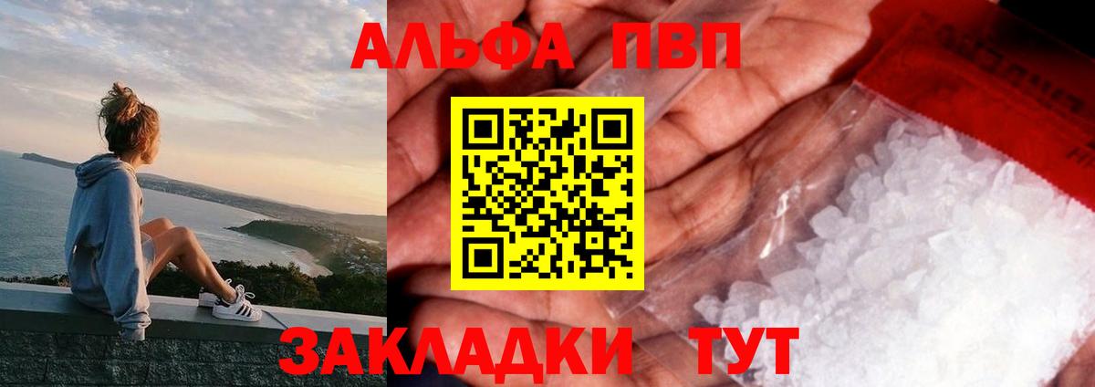 Alfa_PVP СК Урус-Мартан