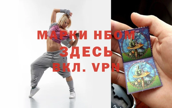 гашик Коряжма