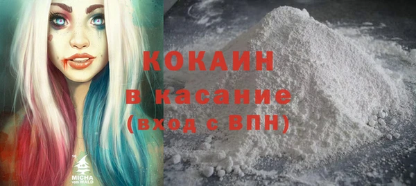 крисы Надым