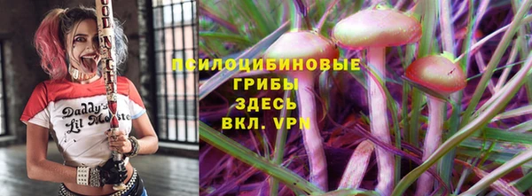 прущие грибы Янаул