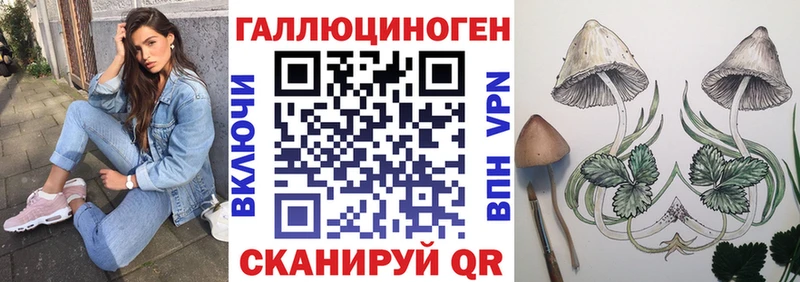 даркнет сайт  Урус-Мартан  ОМГ ОМГ как войти  Псилоцибиновые грибы Psilocybine cubensis 