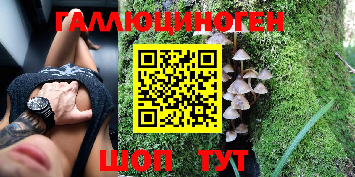 Псилоцибиновые грибы мицелий Урус-Мартан