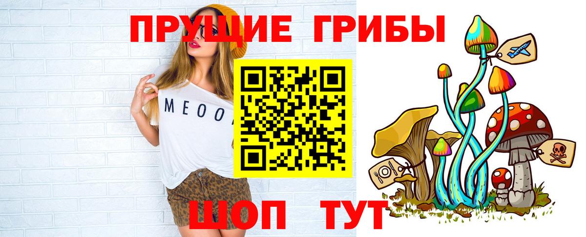Урус-Мартан  Псилоцибиновые грибы Psilocybine cubensis  Вход с VPN 