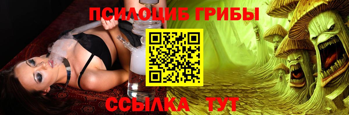 Галлюциногенные грибы Magic Shrooms  Урус-Мартан  где купить наркоту  Галлюциногенные грибы мицелий 
