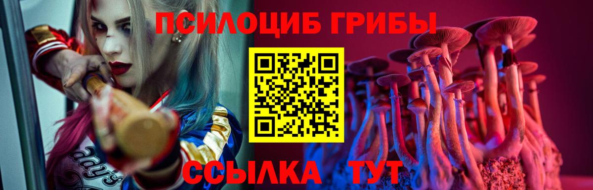 Codein Урус-Мартан